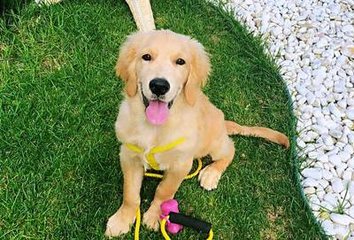 regulated ai perpetual futures exchange how to