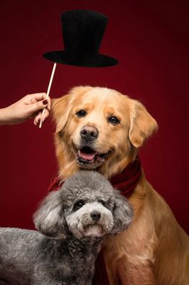 regulated ai contract trading exchange thailand