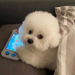 lowest fees ai futures exchange germany